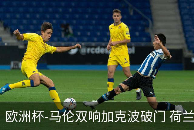 欧洲杯-马伦双响加克波破门 荷兰3-0罗马尼亚